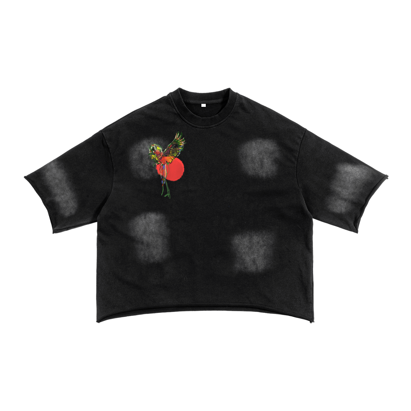 The Birds of the Sky: Raw Edge T