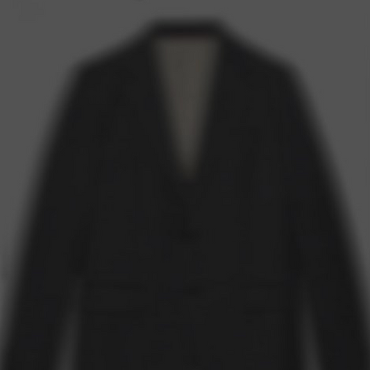 THE GOLD-LINED BLAZER